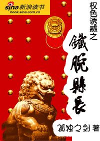 小人物纵横官场：铁腕县长