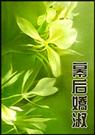 幕后娇淑