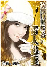 误惹腹黑老公雷人逃妻(上部)