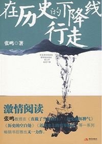 在历史的下降线行走