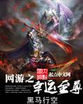 网游之幸运至尊
