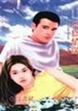 只为情深