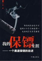 我的保镖生涯
