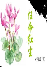 任命红尘