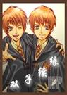 [hp]双子续缘