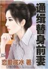 冷首席的替身宝贝