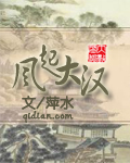 风起大汉