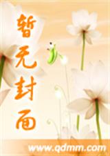 超人气设计