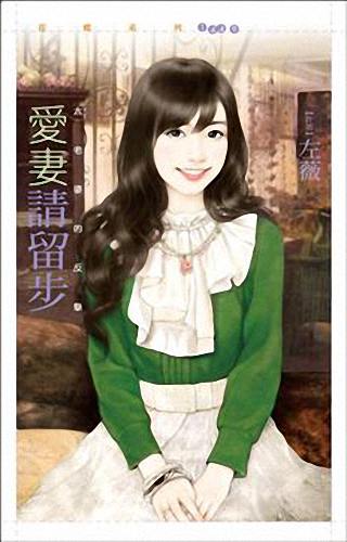 爱妻请留步
