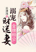 金牌相公,溺宠财迷妻