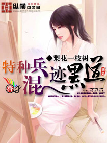 特种兵混迹黑道