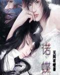 诺蝶