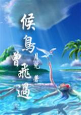 候鸟曾飞过