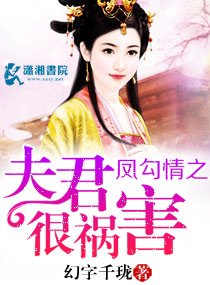 凤勾情之夫君很祸害