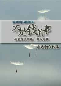 不是钱的事