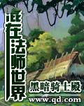 混在法师世界