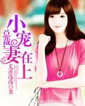 总裁,小宠妻