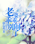老婆乖乖,别闹了