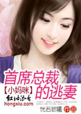 小妈咪首席总裁的逃妻