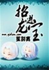 招龙进宝