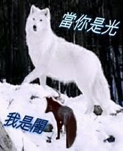 当你是光,我是闇