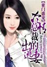 豪门盛宠冷清总裁的出逃妻