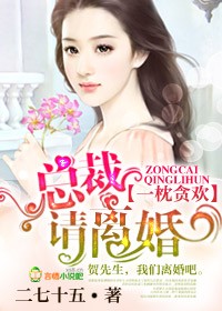 一枕贪欢,总裁请离婚