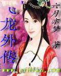 飞龙外传