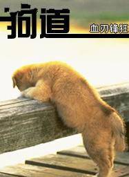 狗道