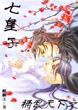 祸乱天下之  七皇子