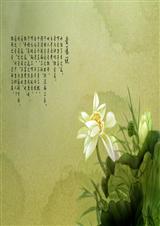成仙了,就别再来找我