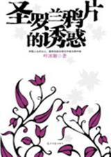 圣罗兰鸦片的诱惑