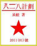 六二八计划