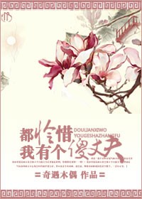 都怜惜我有个傻丈夫
