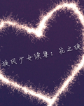 旋风少女续集花之绽