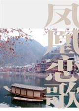 凤凰恋歌