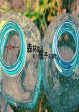 1王9帅12宫4
