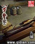 天才警察
