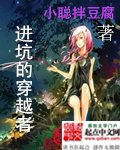 进坑的穿越者