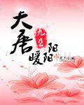 大唐暖阳阳
