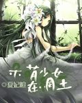 呆萌少女在网王
