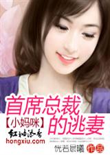 总裁系列--首席总裁的逃妻
