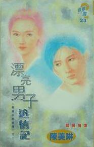 漂亮男子追情记