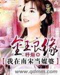 金玉良缘我在南宋当媒婆
