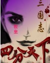 三国志之四分天下