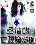 圣洁的亡灵魔法师