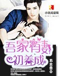 吾家有妻初养成