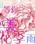 只为等你：唯美花季雨