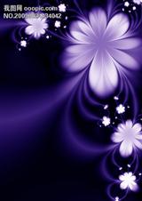 师生or兄妹