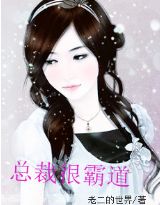 总裁很霸道